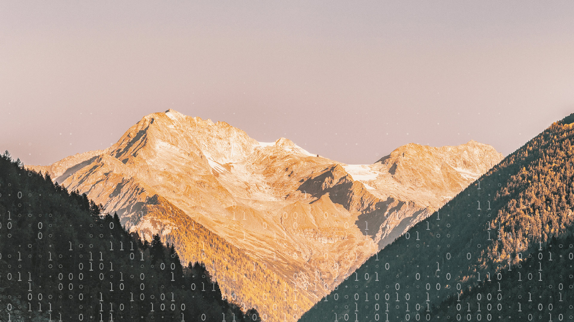 News and Resources – Levterra