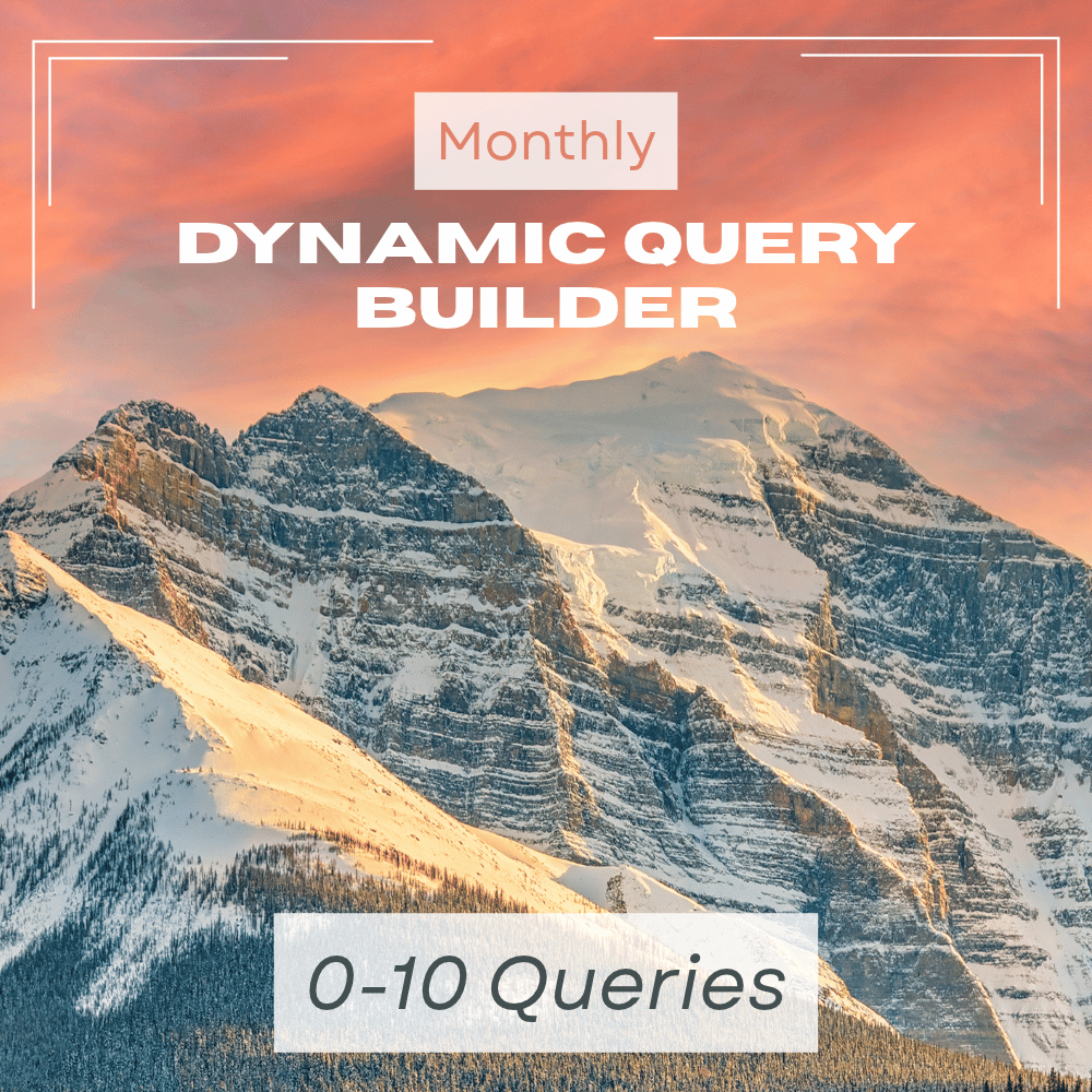 Dynamic Query Builder - 0-10 Queries (Monthly)