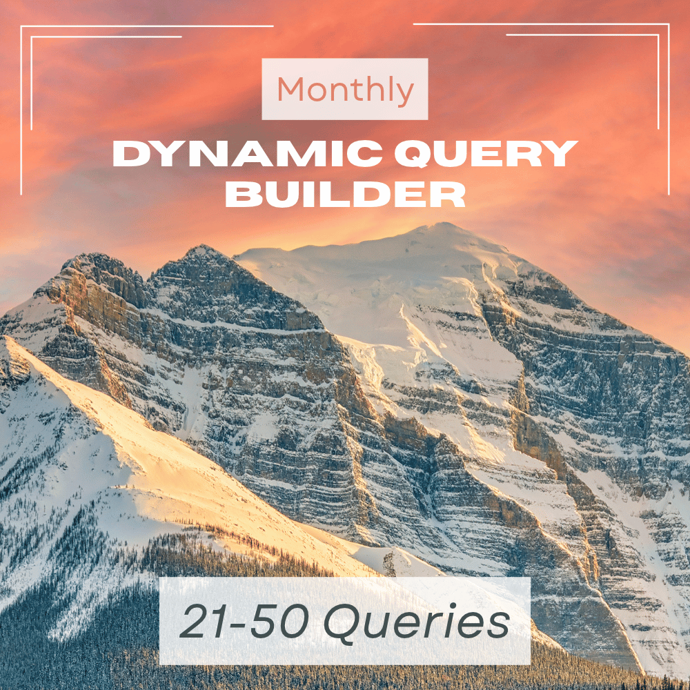 Dynamic Query Builder - 21-50 Queries (Monthly)