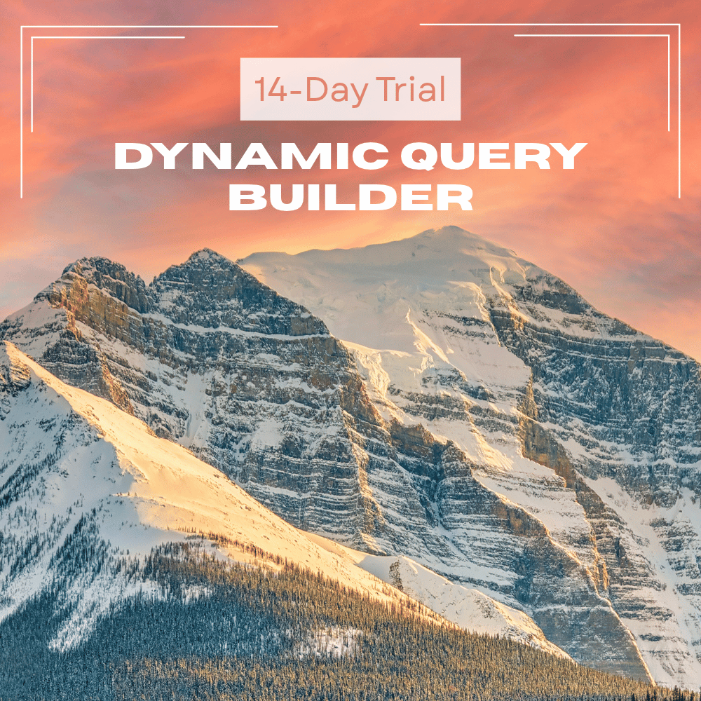 Dynamic Query Builder - 14-Day Trial